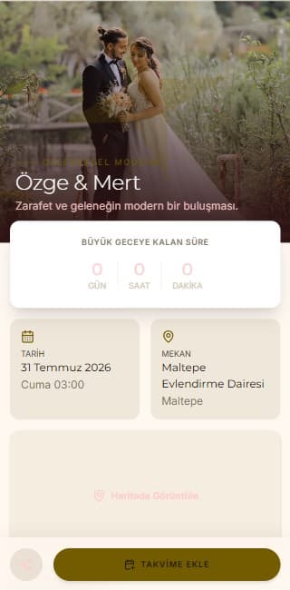 Traditional Modern teması önizlemesi